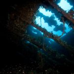 Photo of Wreck in Chuuk