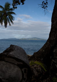 Fiji - Soma Soma Straight