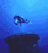 Diver - Panama City