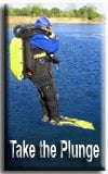 take the plunge