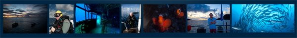 photo contest 2
