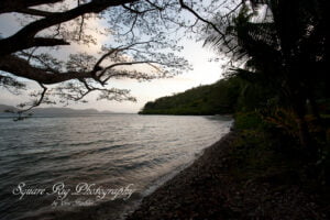 fiji-403