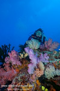 Scuba Diver in Fiji
