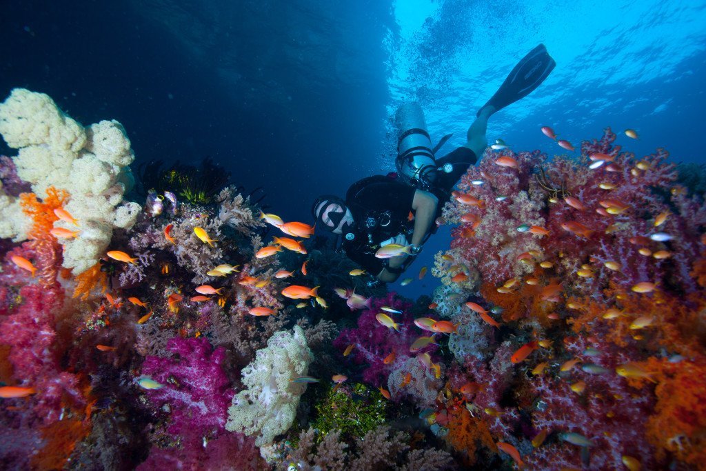 Scuba Diver in Raja Ampat Indonesia