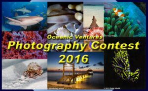 photo contest title