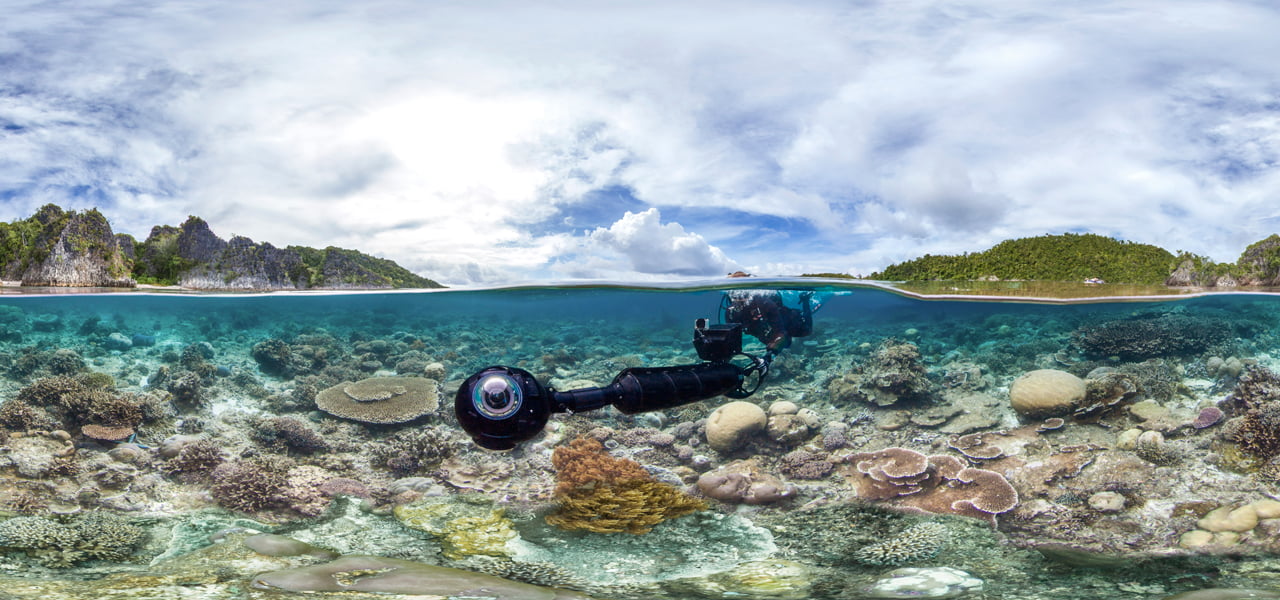 Photo Courtesy of the Ocean Agency