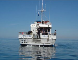 Diving off the Pacific Star