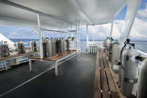 This image has an empty alt attribute; its file name is dive_deck_-300x200.jpg