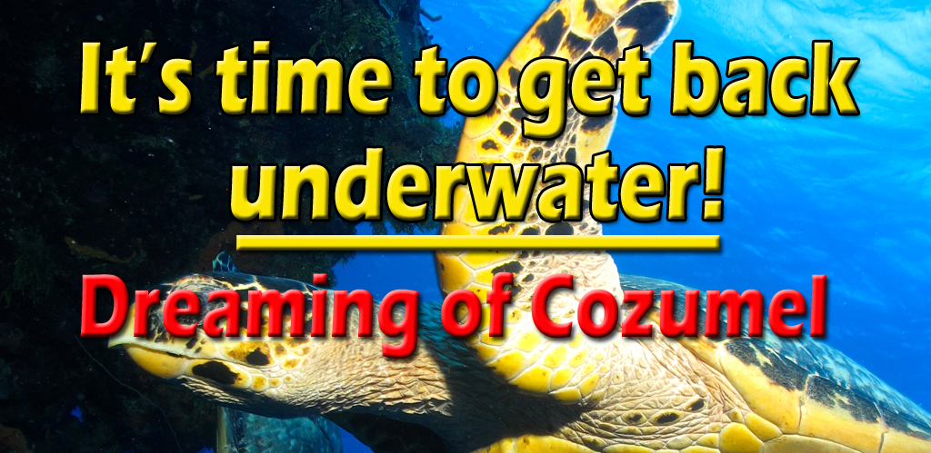 Dreaming of Cozumel